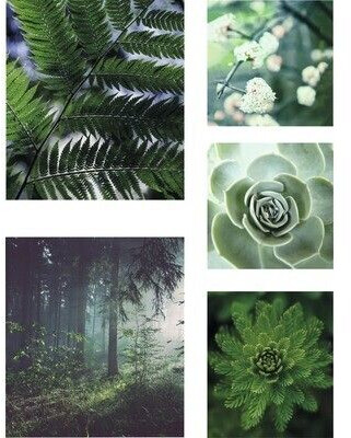 WOHNIDEE Pure Nature Set of 5 60x80cm Green