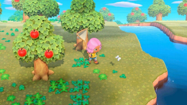Nintendo Switch Lite koralle inkl. Animal Crossing: New Horizons, Bild 5