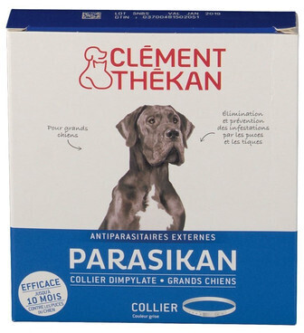 Clément Thékan Parasikan Collier grand chien