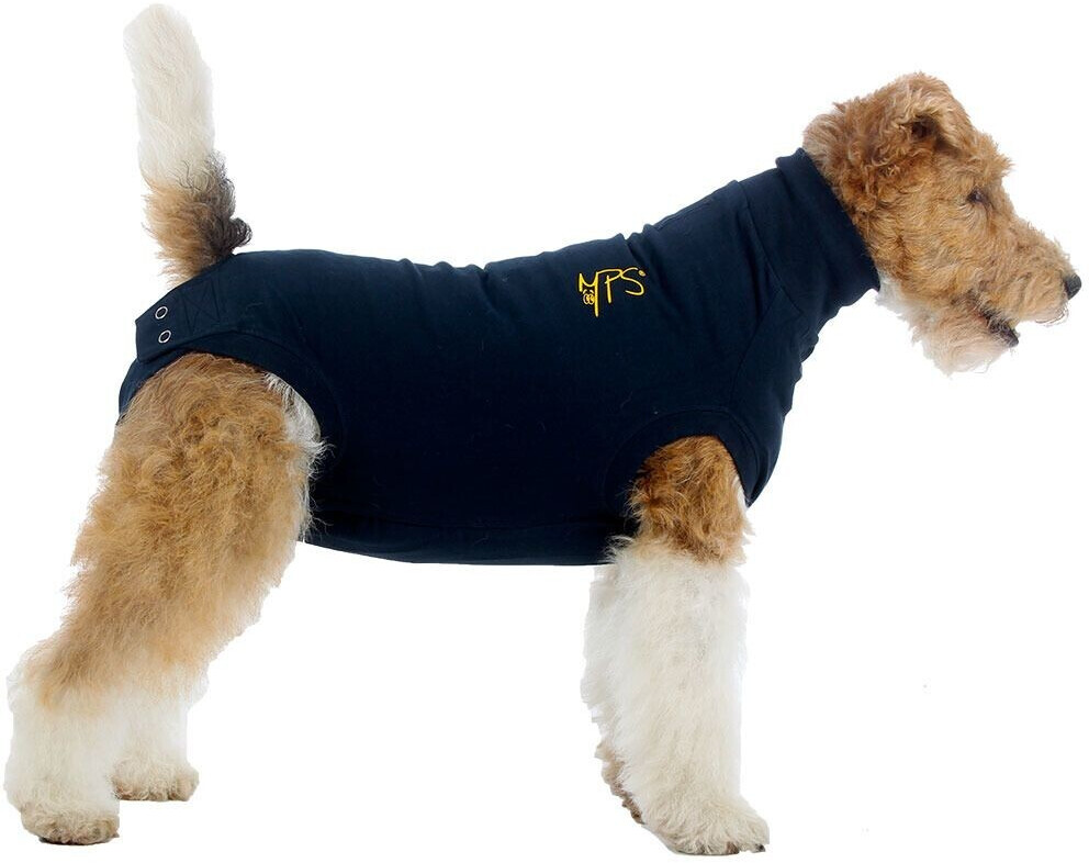 MPS Chien M plus