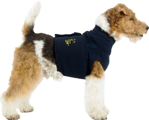 MPS Dog XXS Blue