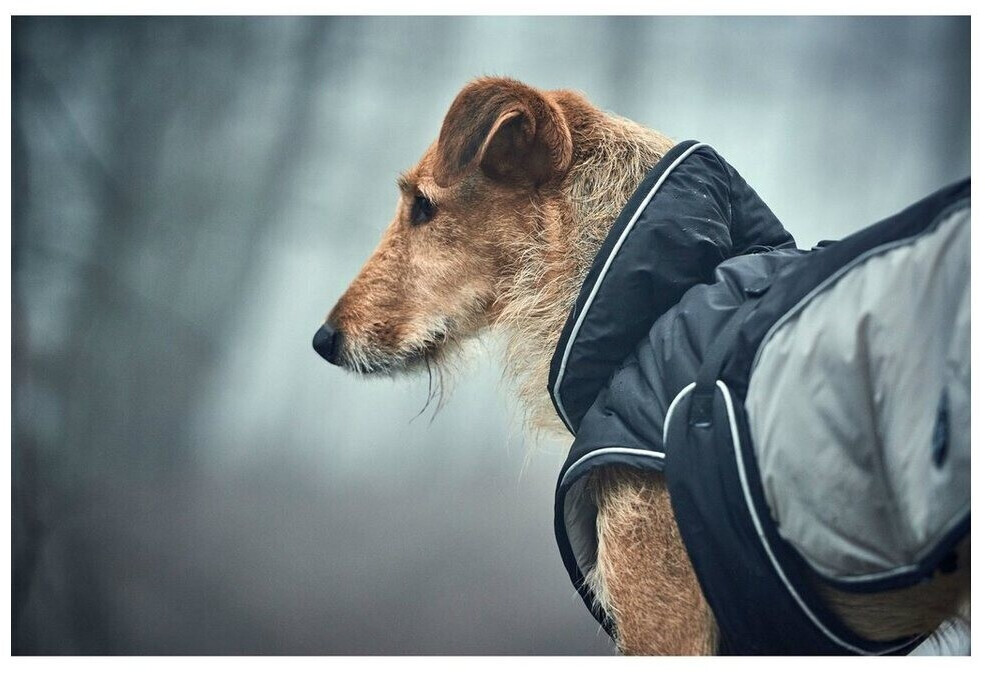 HUNTER Manteau pour chien 25 Black Grey HUNTER Manteau pour chien 25 Black Grey