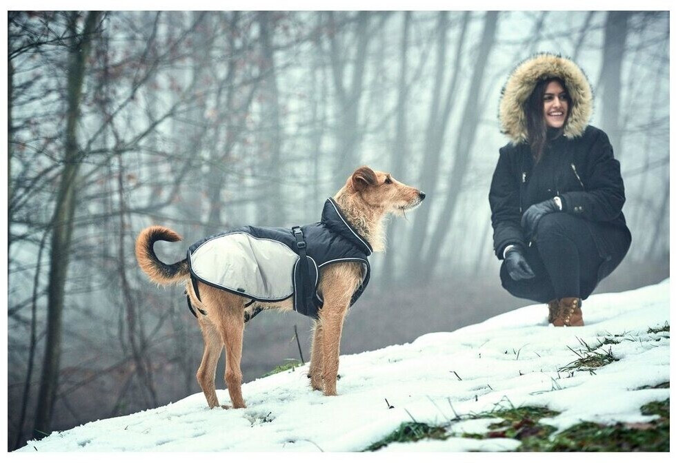 HUNTER Manteau pour chien 25 Black Grey HUNTER Manteau pour chien 25 Black Grey