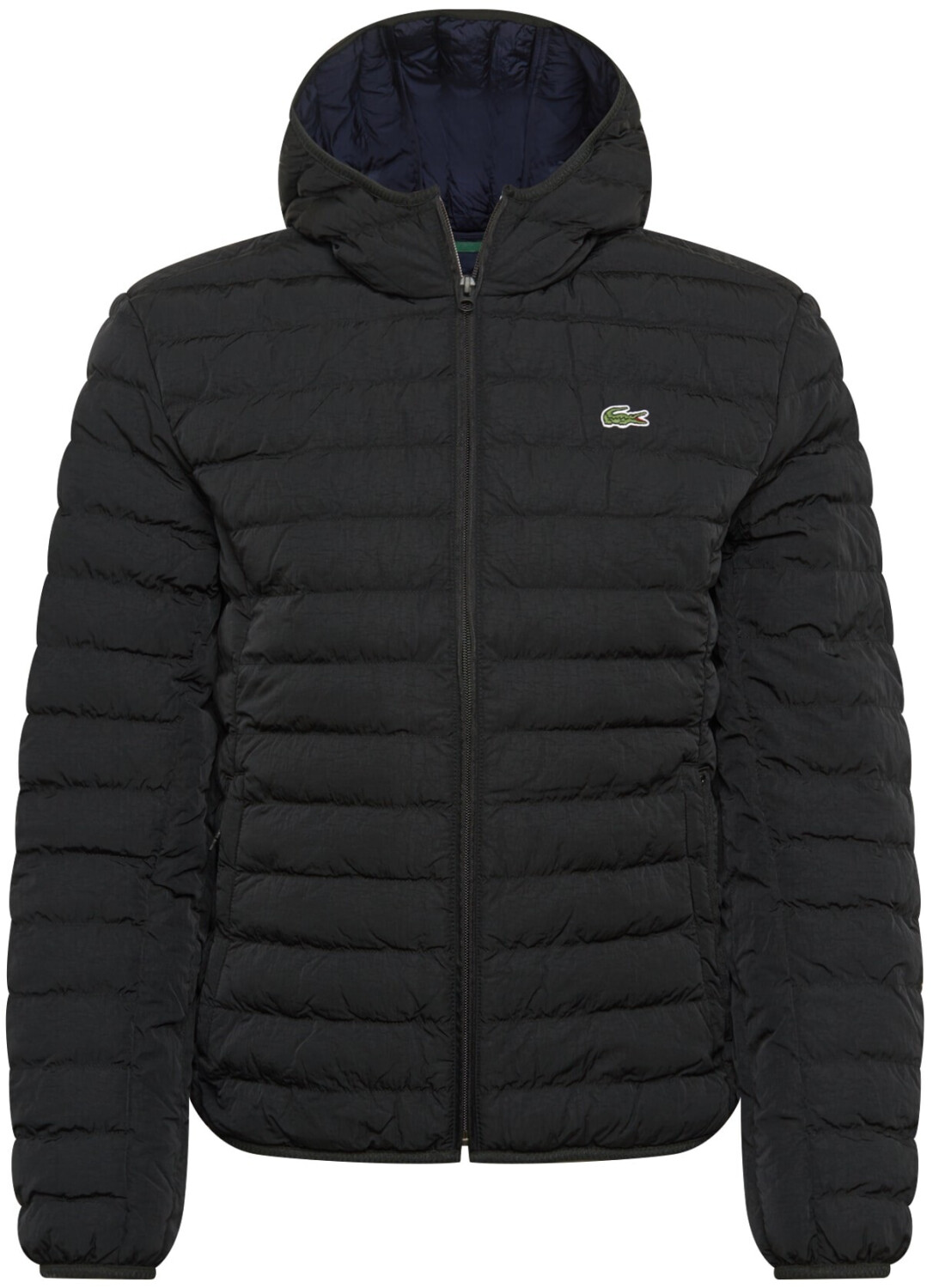 Lacoste bubble jacket sale store