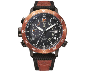 Citizen promaster deals idealo