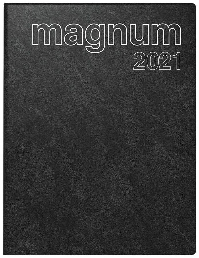Brunnen Magnum 2021