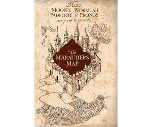 Elbenwald Harry Potter Bettwäsche Karte des Rumtreibers 2tlg 135x200 80x80cm