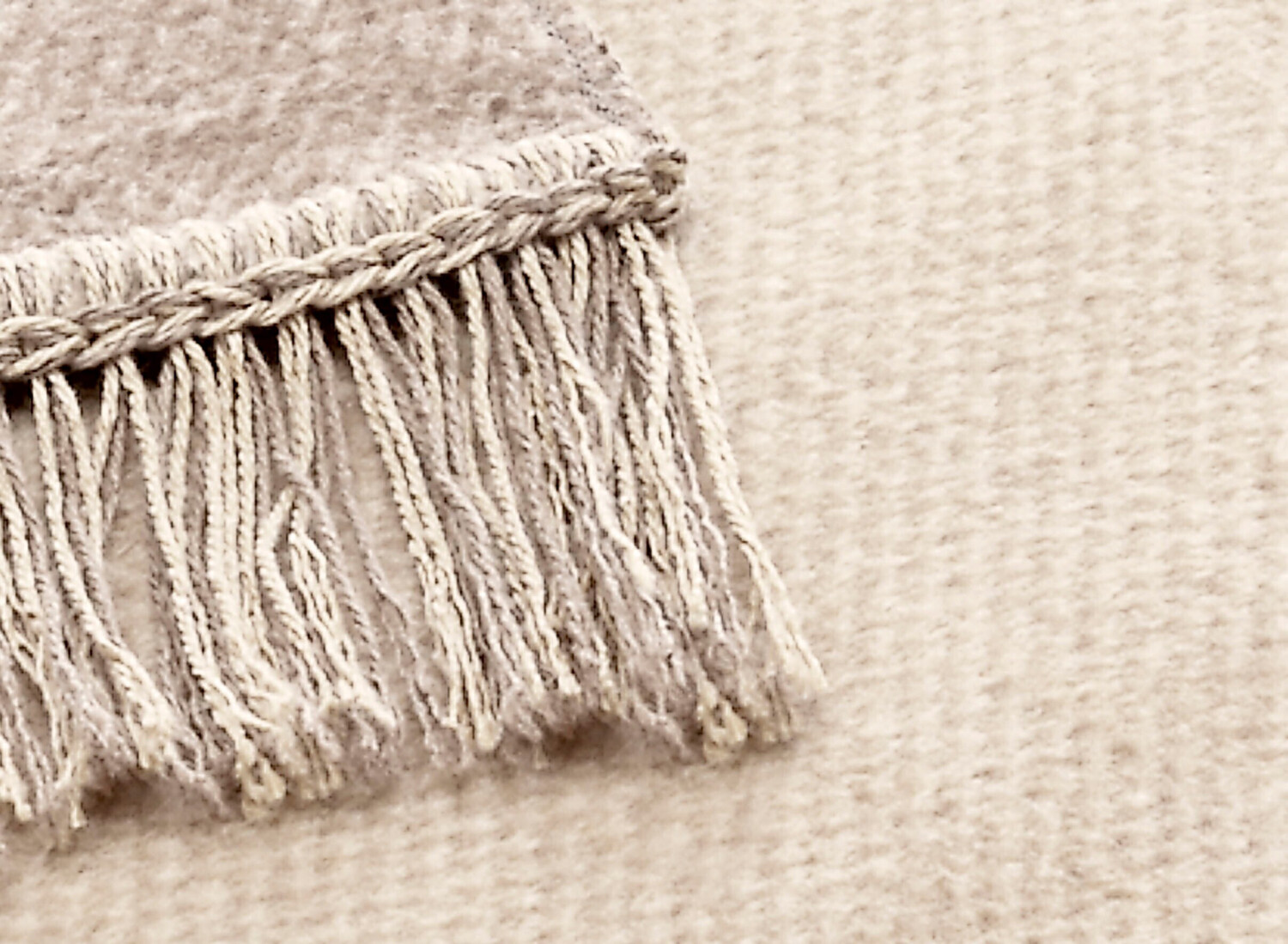 Biederlack Cover Cotton 50x200cm sand ab 24,90 € | Preisvergleich bei