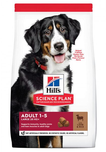 Hill's Science Plan Canine Adult Large agneau/riz