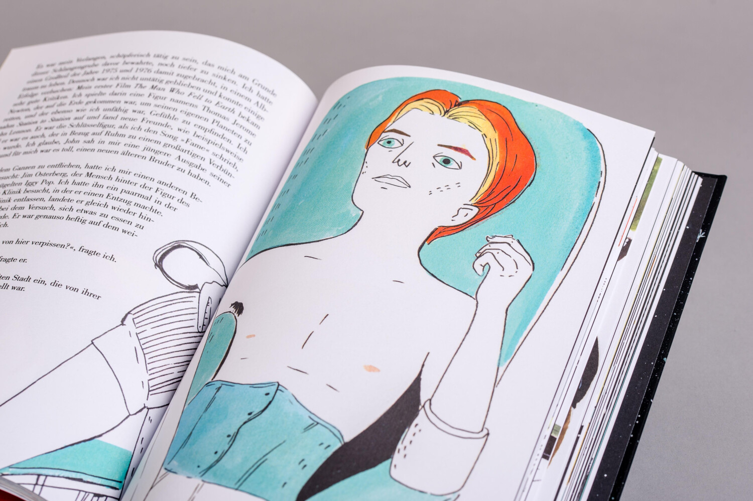 Bowie: Ein illustriertes Leben (ISBN:9783453273023)