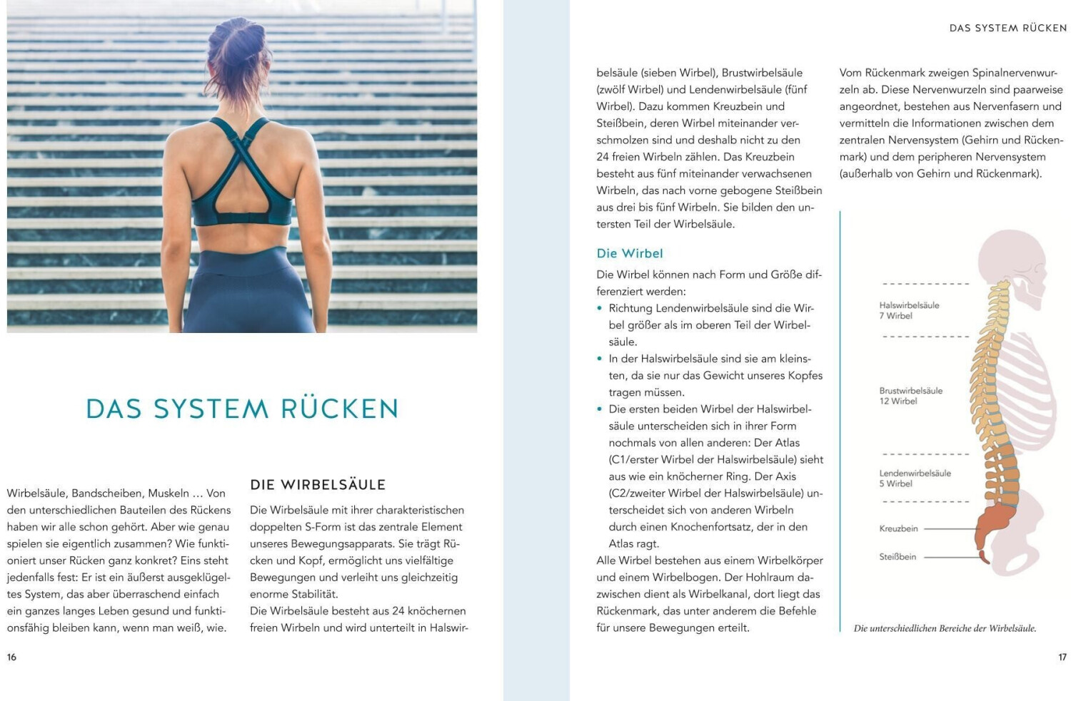 Rücken & Bandscheiben Schmerzen selbst behandeln: Rückenschmerzen, Rundrücken, Spinalkanalstenose, Gleitwirbel, Facettengelenksarthrose, Hexenschuss (GU Ratgeber Gesundheit) (ISBN:9783833876134)