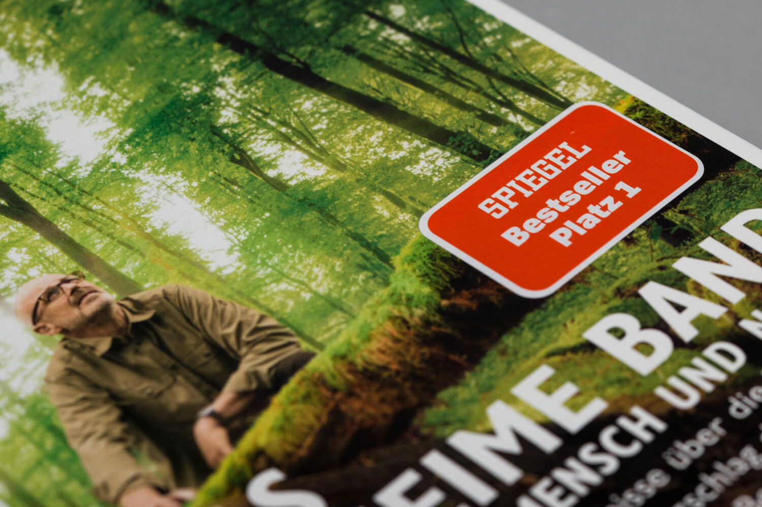 Das geheime Band zwischen Mensch und Natur: Erstaunliche Erkenntnisse über die 7 Sinne des Menschen, den Herzschlag der Bäume und die Frage, ob Pflanzen ein Bewusstsein haben (ISBN:9783453280953)