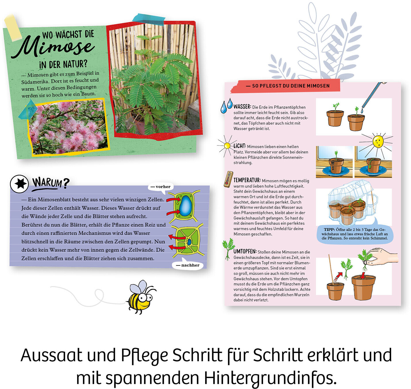 Kosmos MimosenGarten (65780) ab € 6,69 Preisvergleich