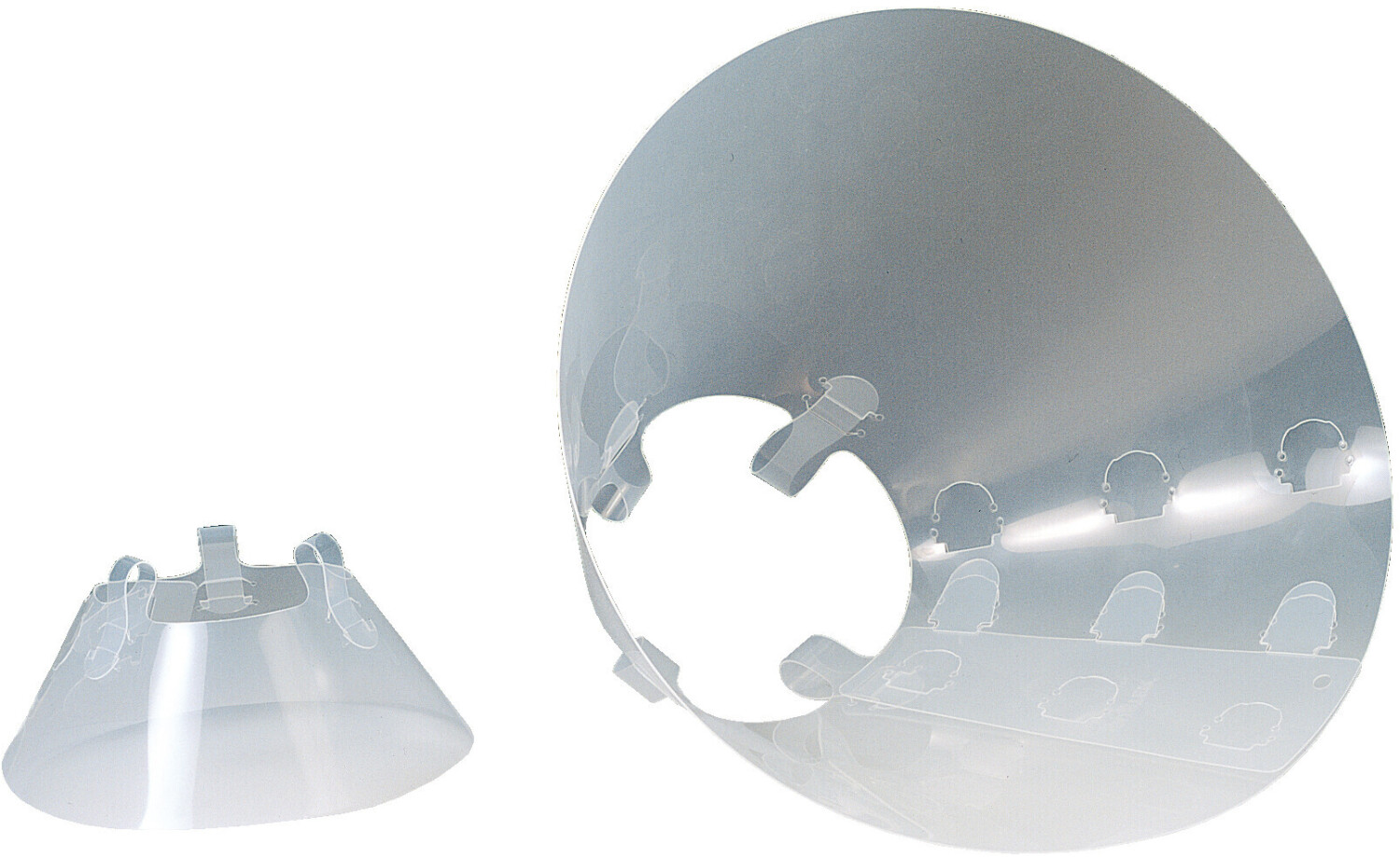 Rinaldo Franco Elizabethan Collar Dog