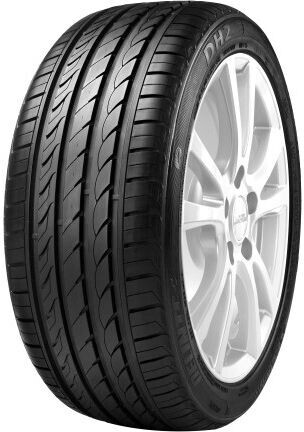 Delinte DH2 205/45 R17 88W XL