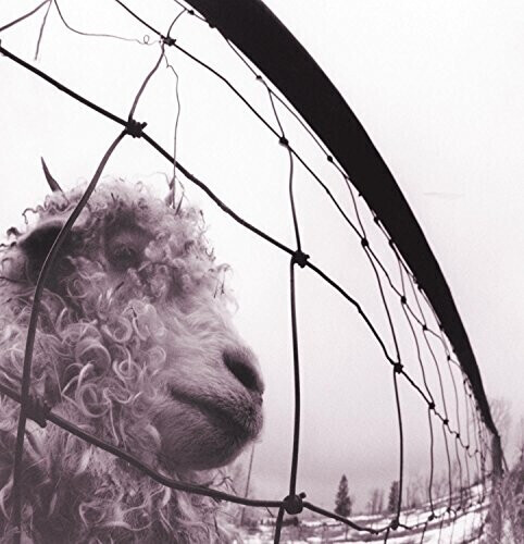Pearl Jam - Vs. Vinyl Edition (Remastered) (Vinyl)