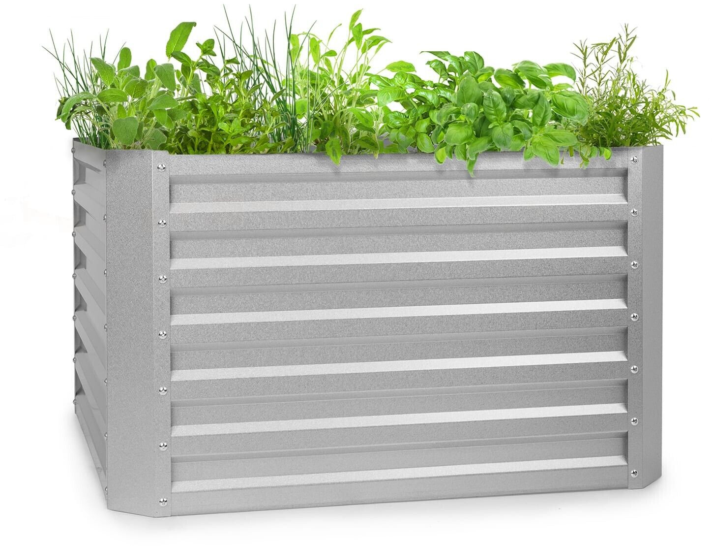 Blumfeldt High Grow Straight 100 x 60 x 100 cm argenté