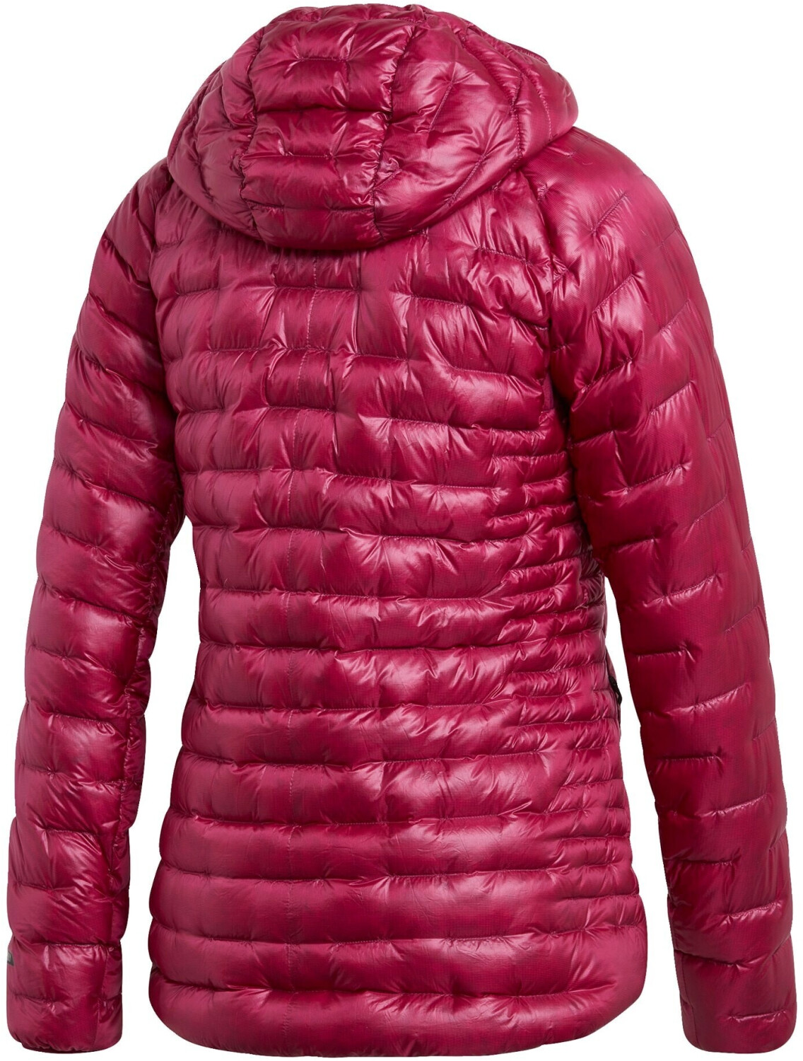 Terrex icesky hooded down jacket best sale