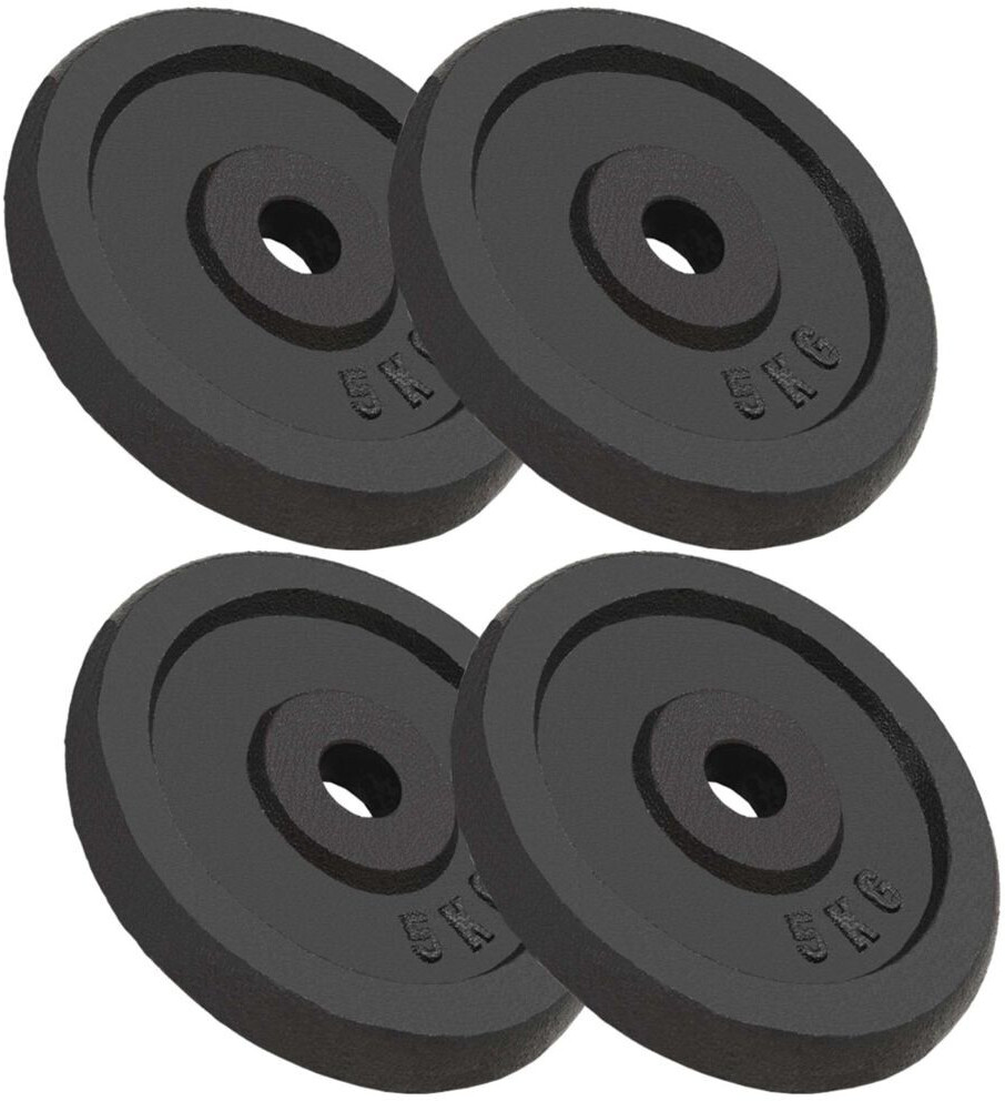 vidaXL Weight Plates 4 PCS 20 kg