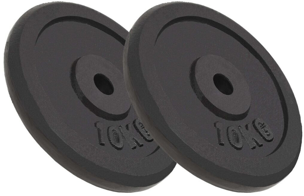 vidaXL Weight Plates 2 PCS 20 kg