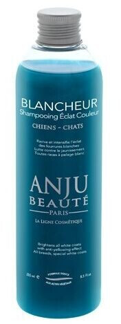 Anju Beaute Shampoing blancheur