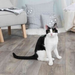 Trixie Spray pour le jeu des chats Trixie Spray pour le jeu des chats