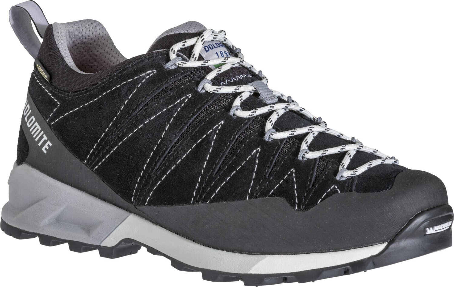 Dolomite Crodarossa Trek GTX Women (0119) black