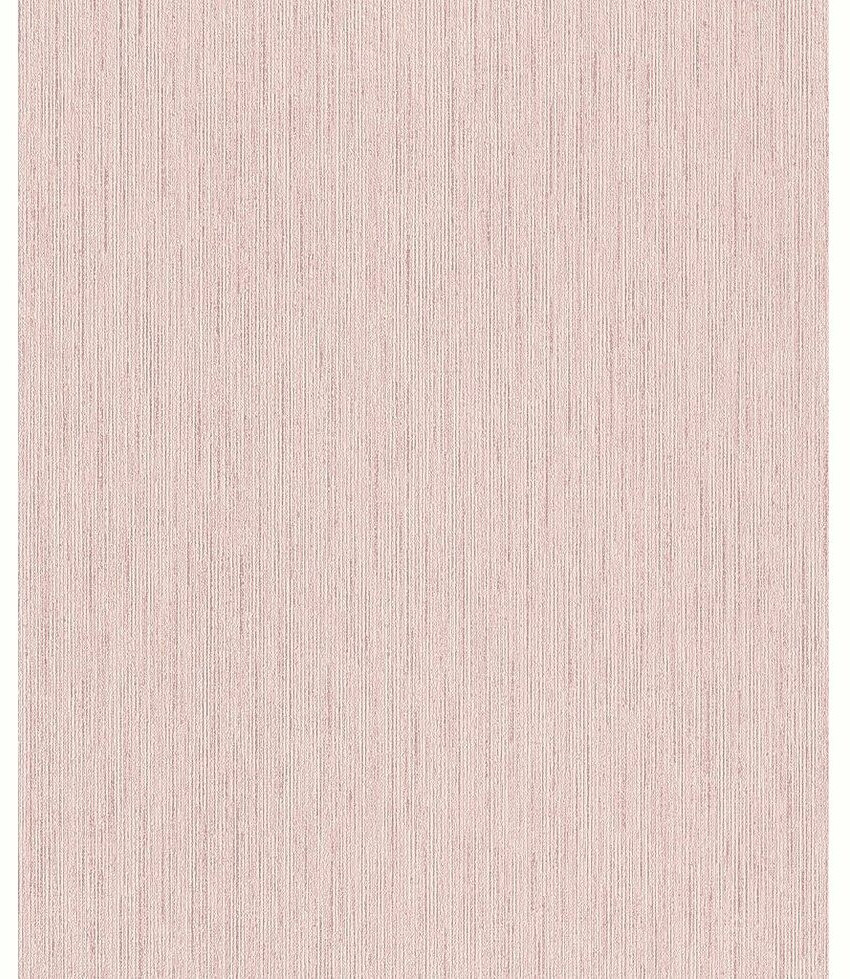 Rasch Rock'n Rolle (536171) rose