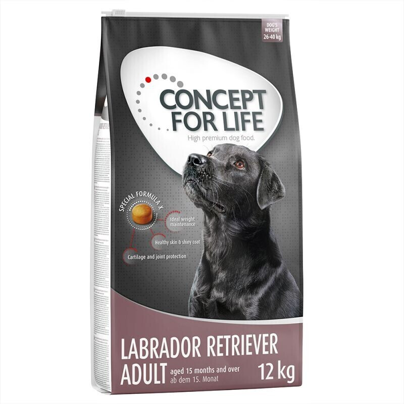 Concept for Life Labrador Retriever Adult (12kg)