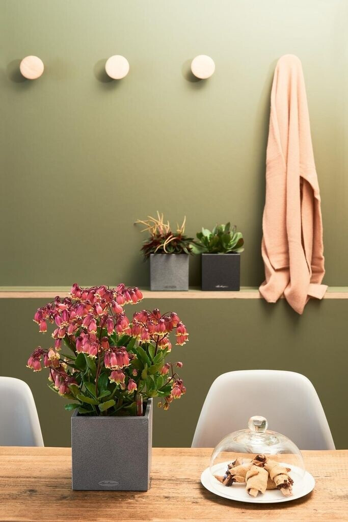 Lechuza Lechuza Canto Stone 14 All-in-One beige / sand colored - view 11