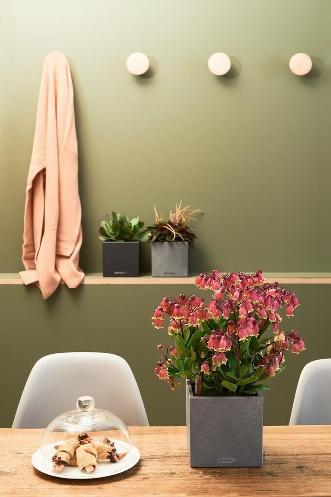 Lechuza Lechuza Canto Stone 14 All-in-One beige / sand colored - view 12