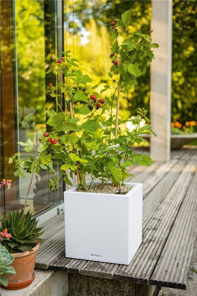 Lechuza Lechuza Canto Stone 14 All-in-One beige / sand colored - view 13