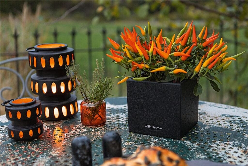 Lechuza Lechuza Canto Stone 14 All-in-One beige / sand colored - view 14