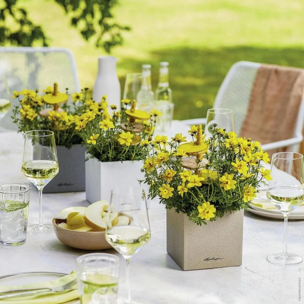 Lechuza Lechuza Canto Stone 14 All-in-One beige / sand colored - view 15