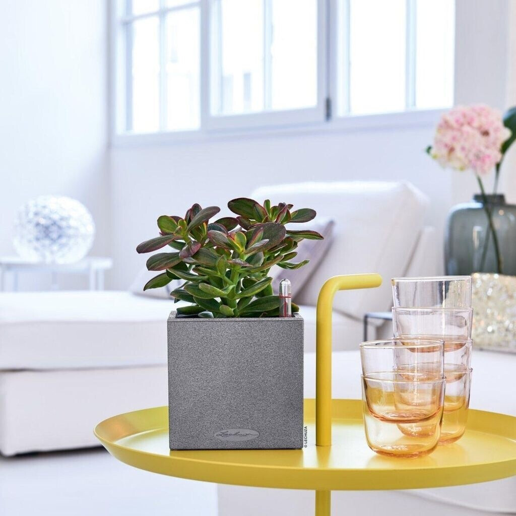 Lechuza Lechuza Canto Stone 14 All-in-One beige / sand colored - view 16