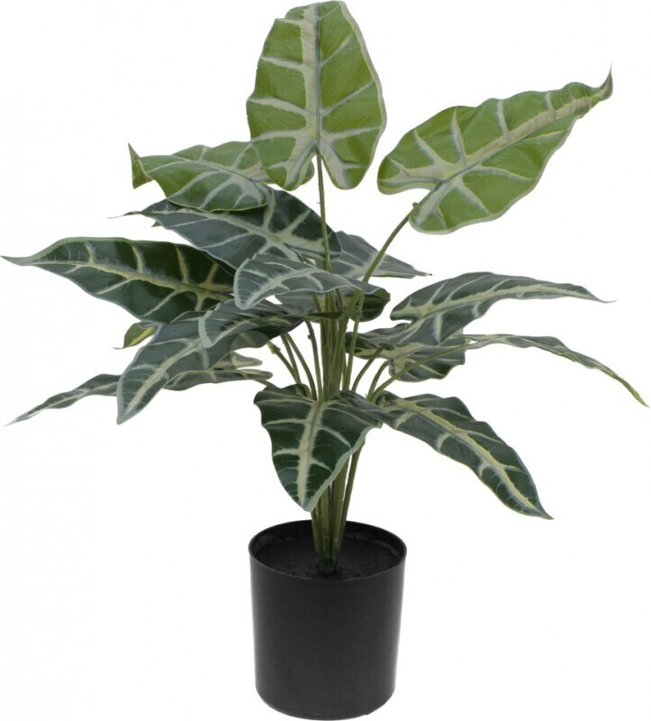 Europalms Caladium – 38 cm