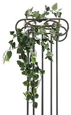 Europalms Philodendron – 60 cm