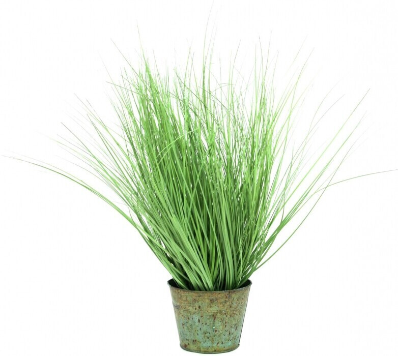 Europalms Petites herbes – 65 cm