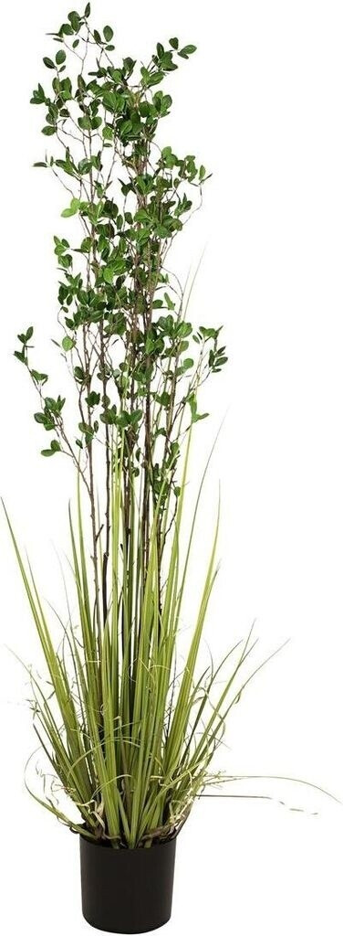 Europalms Arbuste à feuilles persistantes avec herbe - 182cm