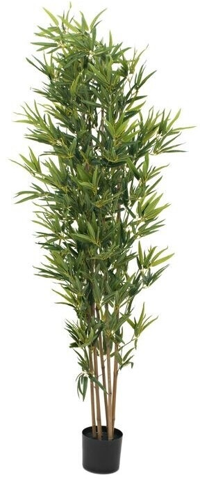 Europalms Bambou deluxe – 180 cm