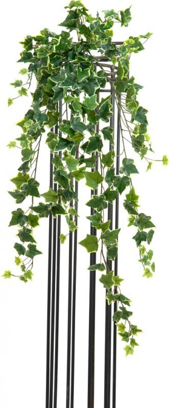 Europalms Lierre de Hollan – 100 cm