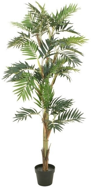 Europalms Palmier de salon – 150 cm