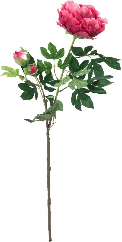 Europalms Branche de pivoine magenta – 100 cm