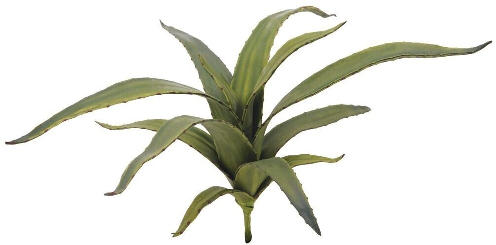 Europalms Aloès vert – 66 cm