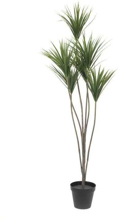 Europalms Palmier yucca – 130 cm