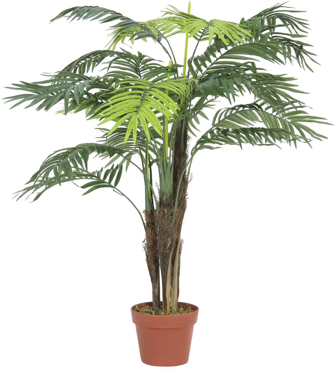 Europalms Areca – 110 cm