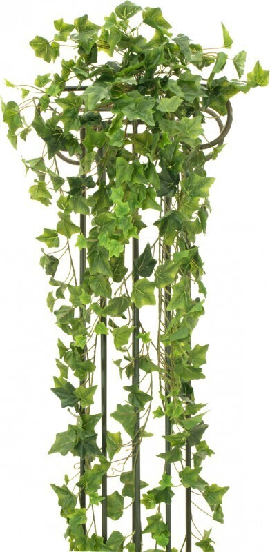 Europalms Lierre – 170 cm