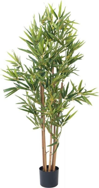 Europalms Bambou – 120 cm