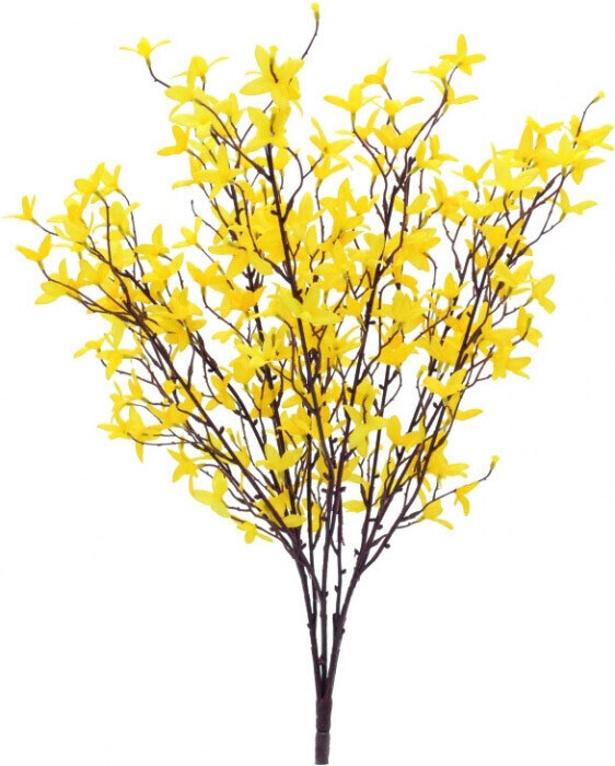 Europalms Forsythia – 60 cm
