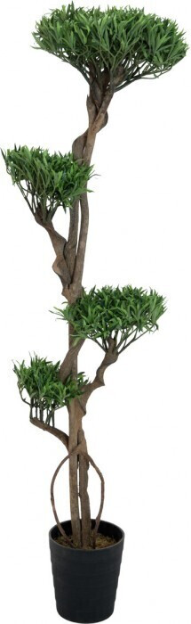 Europalms Bonsaï multi tronc – 170 cm